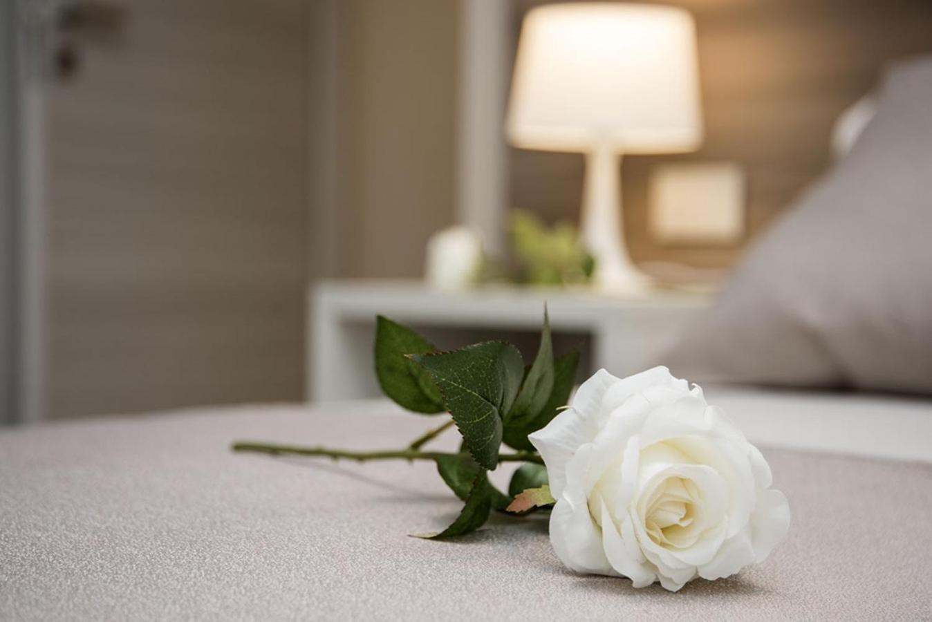 Camelot Appartamenti - Business E Holiday San Martino Buon Albergo Bagian luar foto